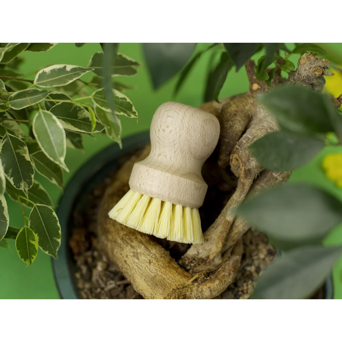 Image du produit 13
